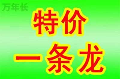上城浙江省杭州市上城区公墓地价格一览表大全